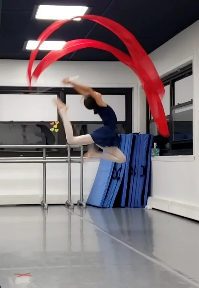 When Chinese Traditional Dance meets Ballet!